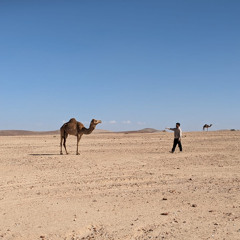 YAMAN
