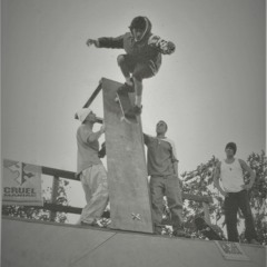 Dog Life Productions...