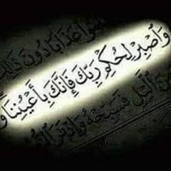 M Hassan Elbeltagy
