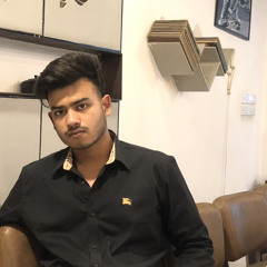 Mirza Faisal Imami Bishal