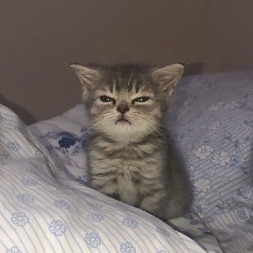hi hiih ihih hhii