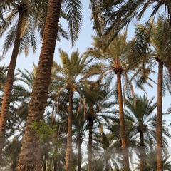 Shahad Alatibi