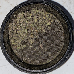 Extaci