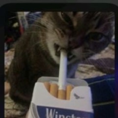 Lâm Võ