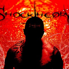 ShockTheory