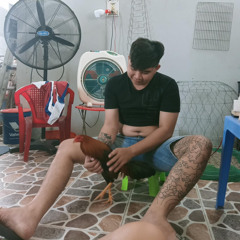 Bình Phước Lê