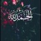 أولادى حياتى