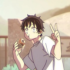 nidma_turtle