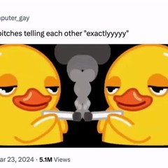 pootodeivid
