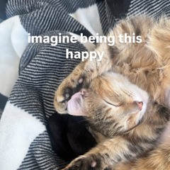 iluvmykapitaljeans