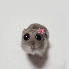aariukkaa:3