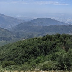 RD.