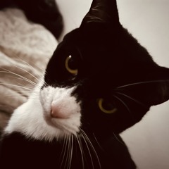 kertxx