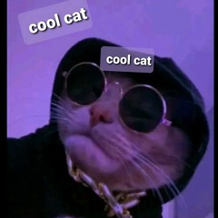 hahshshshshwdsudjshs