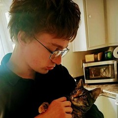 shaun d l bettencourt