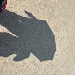 ネタン
