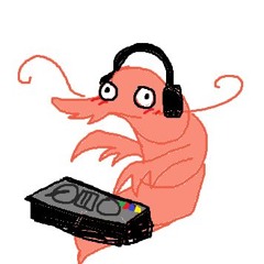 dj shrimp