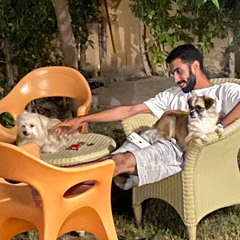 ali el bshbishy