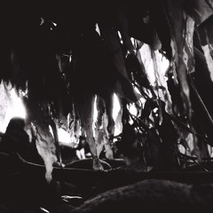 KEITAMEAN