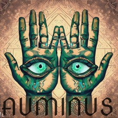 Auminus/Numinus