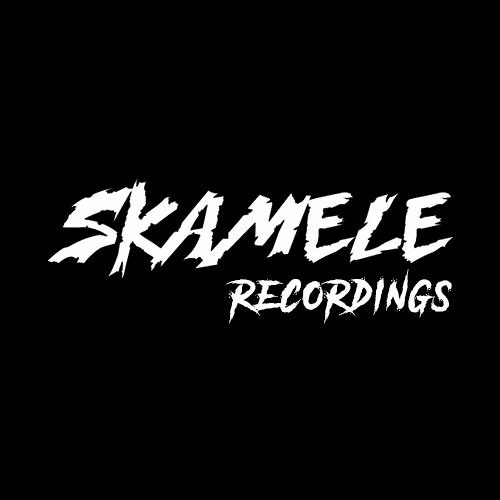 Skamele Recordings’s avatar