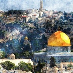 نُور الهُدى 🕊️