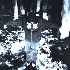 lifelesstwelve