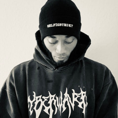 Selfdistrukt.music