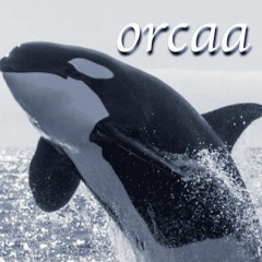 orcaa