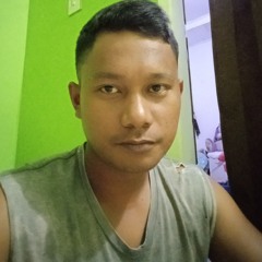 Hotman Firmansyah