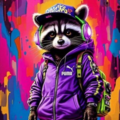 Mapache 🦝