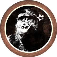Halaken Collective