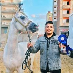 Ahmed Mohsen