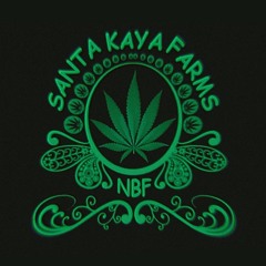 Sarralha