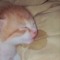 rayuun🐭💤