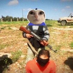 ://a373r