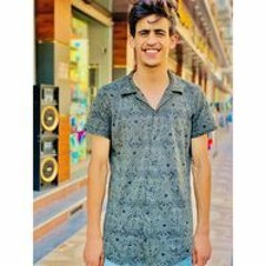 صفي الدين الحركيه