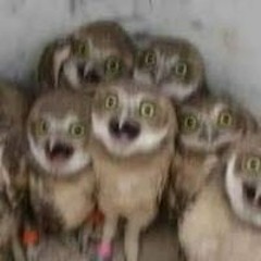 Nguyễn Tăng Nhân