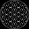 Alchemystic