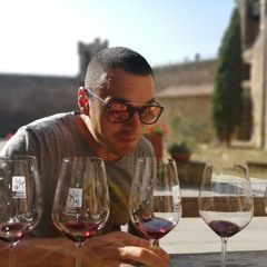 Michele Fusaro