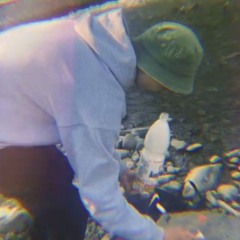 Stonedd