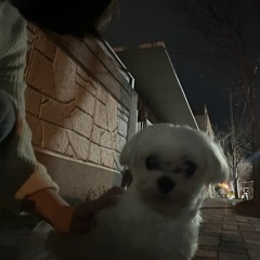 고말랭