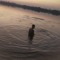 calm √