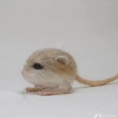 Merb I think
