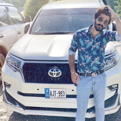 H@mza Mirza
