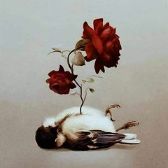 مجدي طلعت