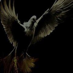 White Pigeon