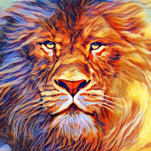 Light Language and High Vibe