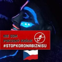 Pavlína Hlaváčová