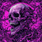 DVZLT  ♪ ✪